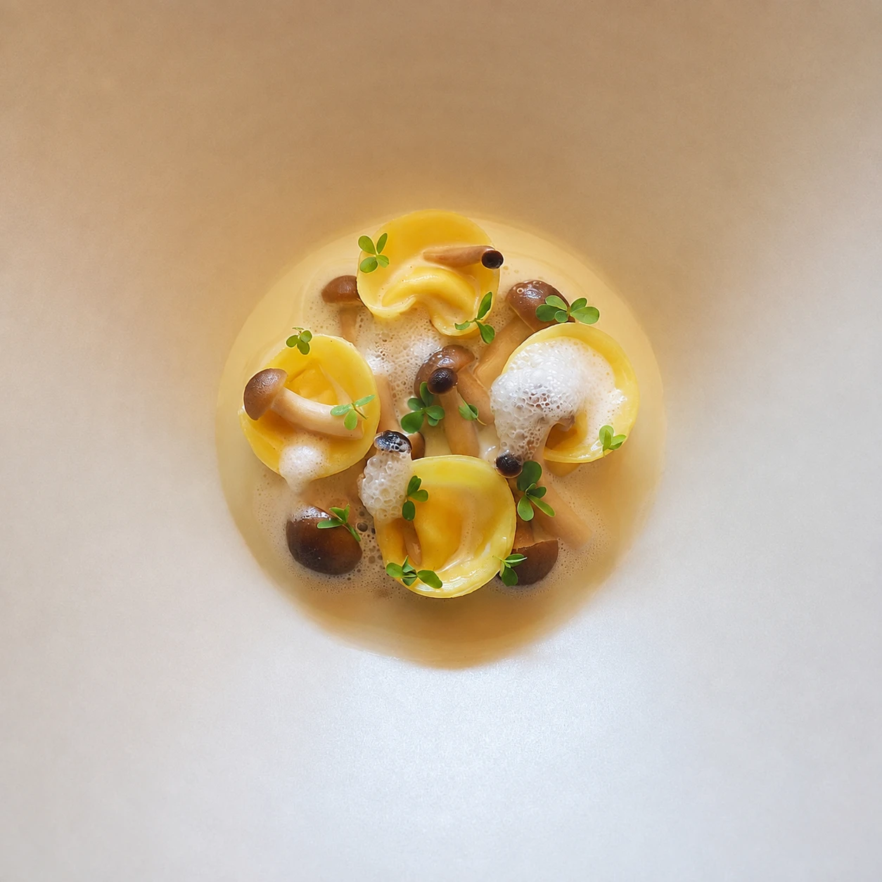 Pasta ripiena con piccoli funghi, spuma ed erbe, fotografata dall'alto